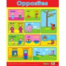 Wall chart: Opposites